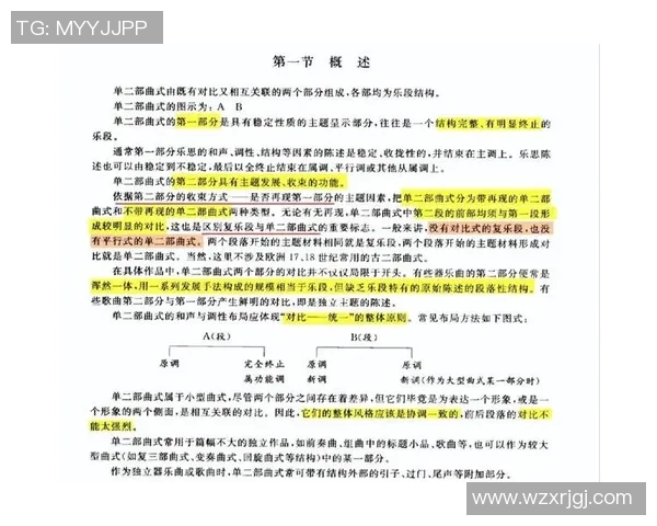 西安排球队在邀请赛中的团队协作表现分析与点评 西安排球队在邀请赛中的团队协作表现分析与点评
